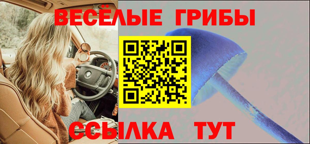 Псилоцибиновые грибы прущие грибы Бийск