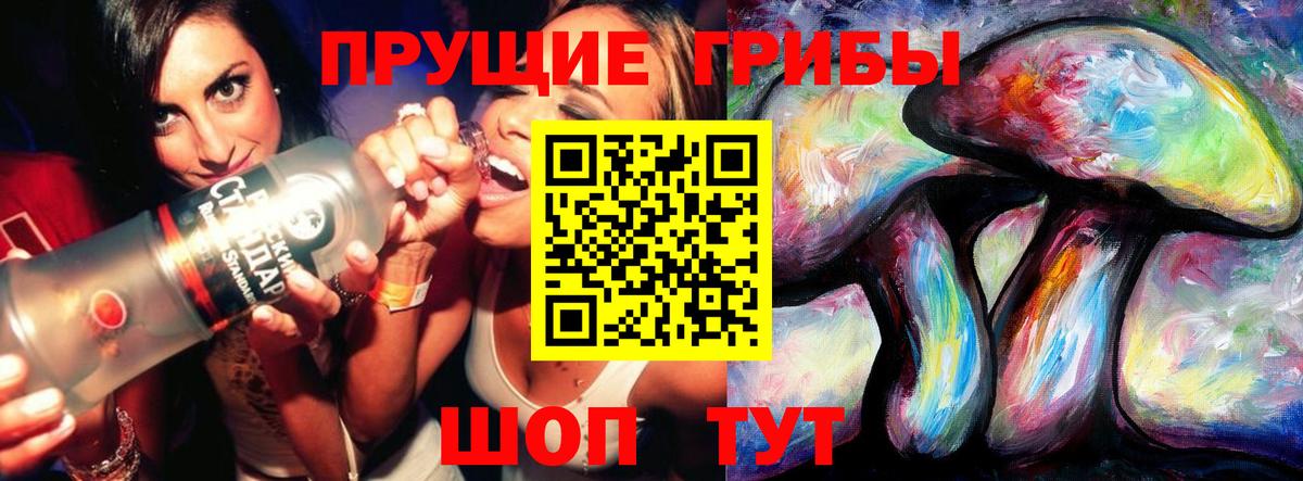 Бийск  Псилоцибиновые грибы Psilocybe  Псилоцибиновые грибы Psilocybe  Вход с VPN 